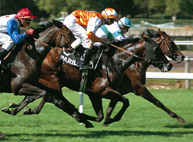 turf Betclic