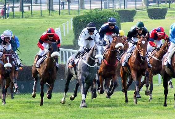 course de chevaux